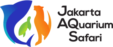 JAKARTA AQUARIUM